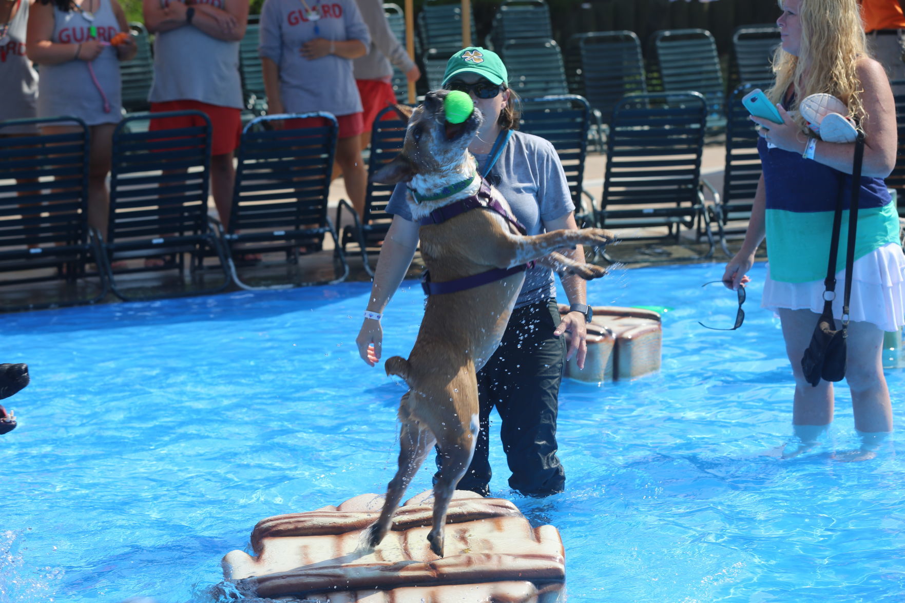 090919_gal_WWdogs (31)